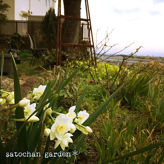 satochanさんの実例写真