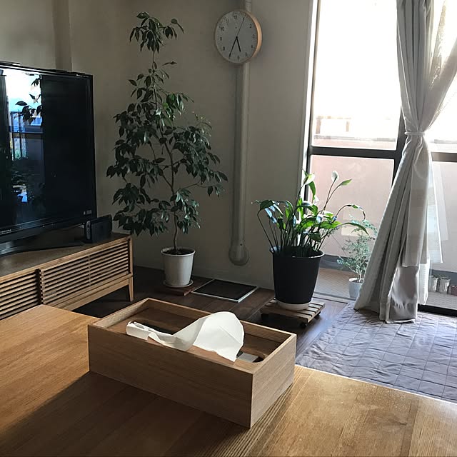 実例写真