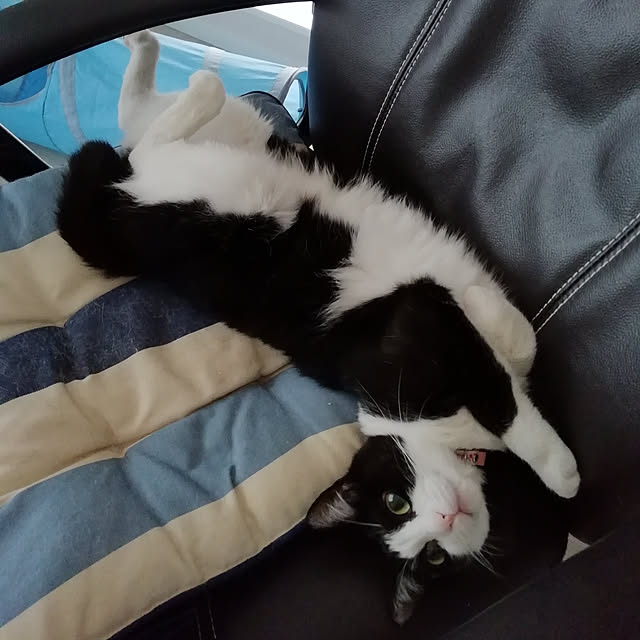 nikeyamaさんの実例写真