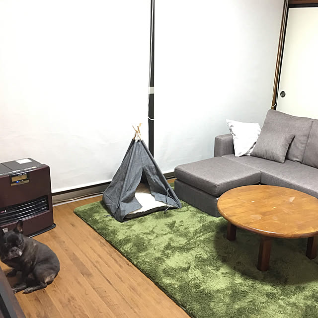 ichiさんの実例写真