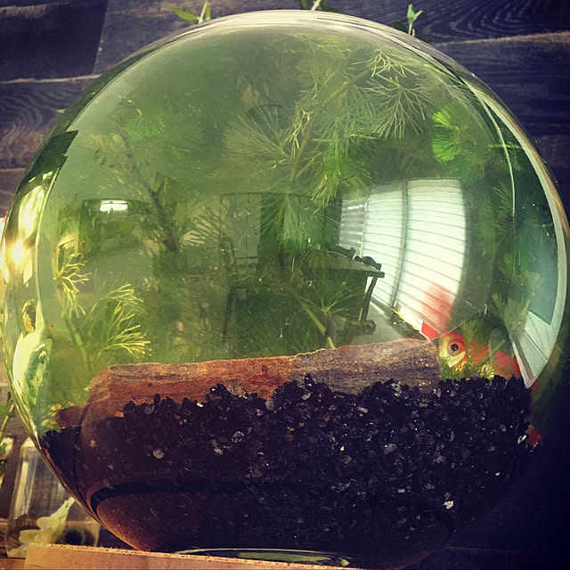 2nd_copants-kid_daoさんの実例写真