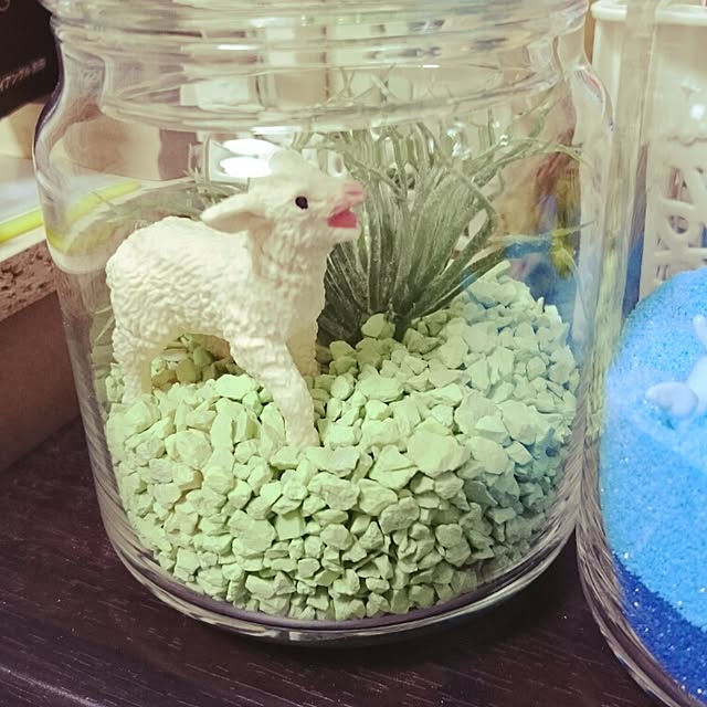 Mikaさんの実例写真