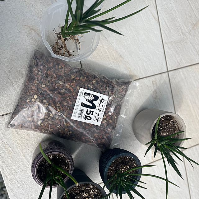 riakanaさんの部屋