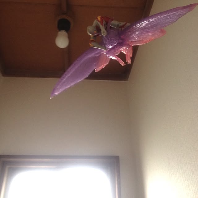 nodaさんの実例写真