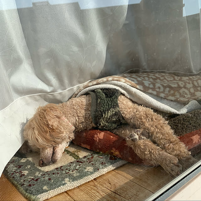 manamaxさんの実例写真
