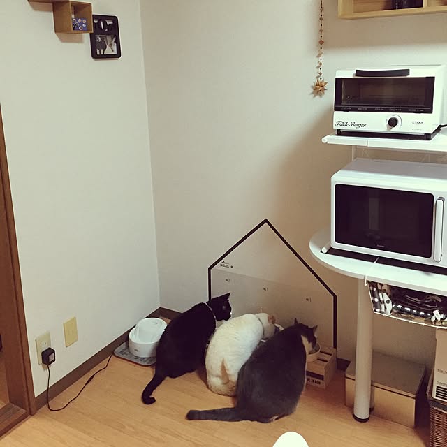 toufuさんの実例写真