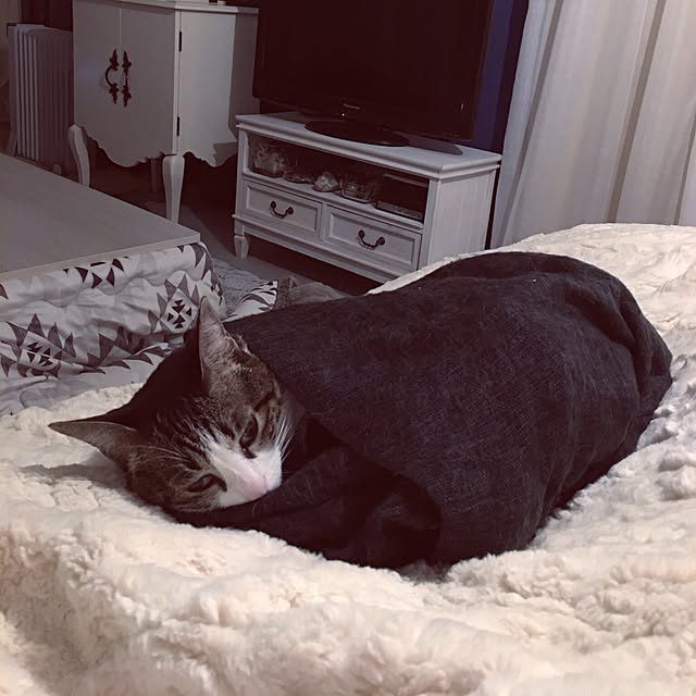 Shihoさんの実例写真