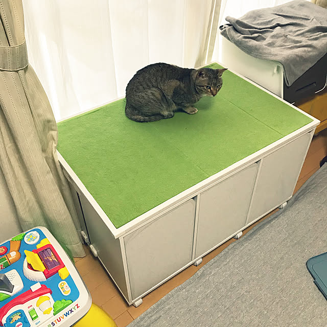 yuki0511さんの実例写真