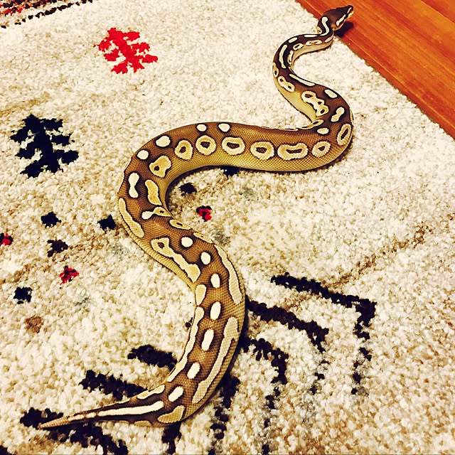 Taikiさんの実例写真