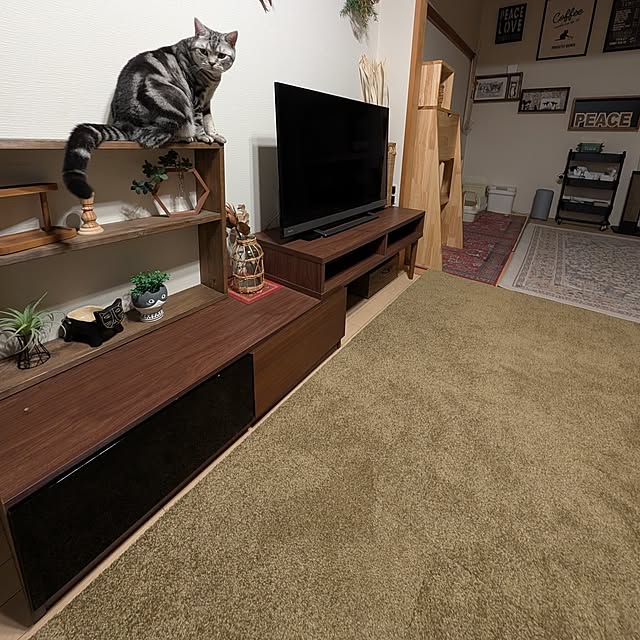lovepeaceさんの部屋