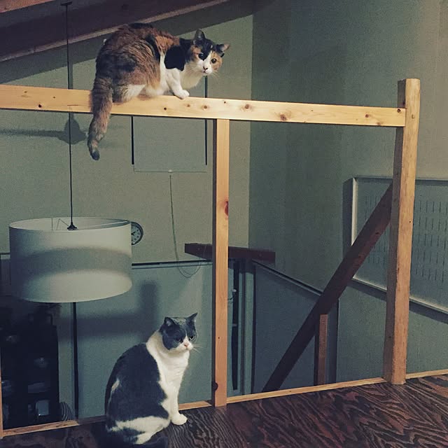 mohayaeteさんの実例写真