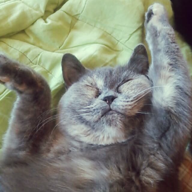 k.namiさんの実例写真