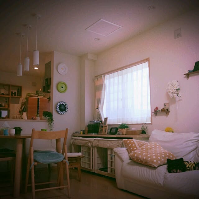 asa.haruaoさんの実例写真