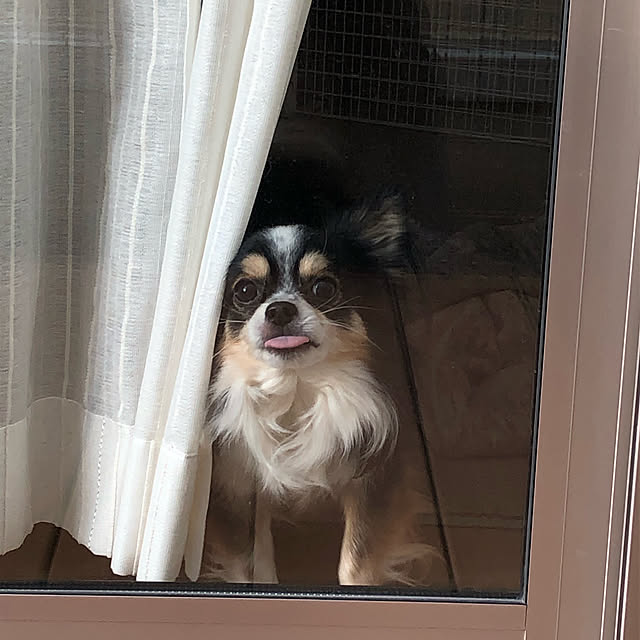 mkさんの実例写真