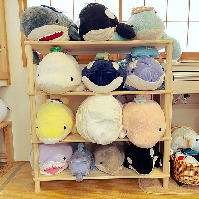 sucoriさんの実例写真