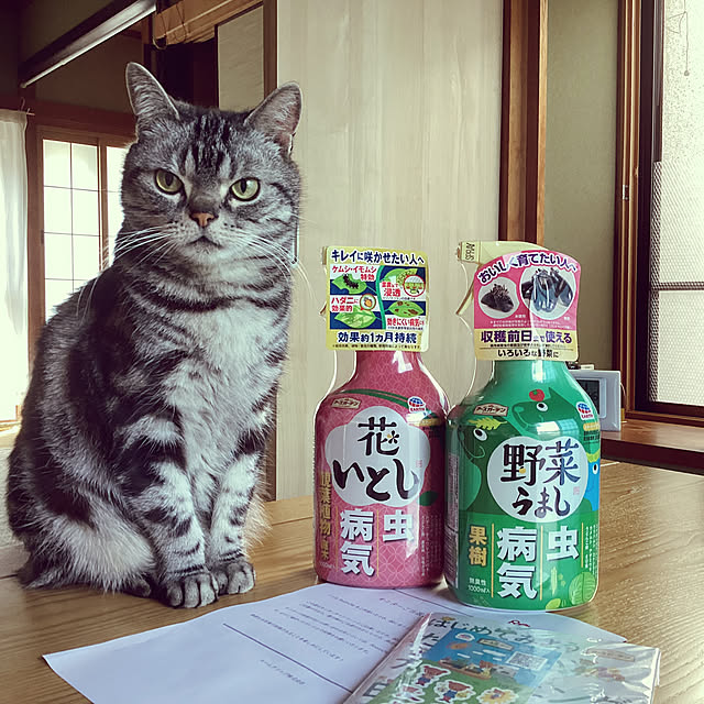 richanさんの部屋