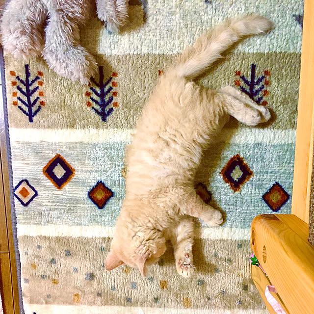 naokoさんの実例写真
