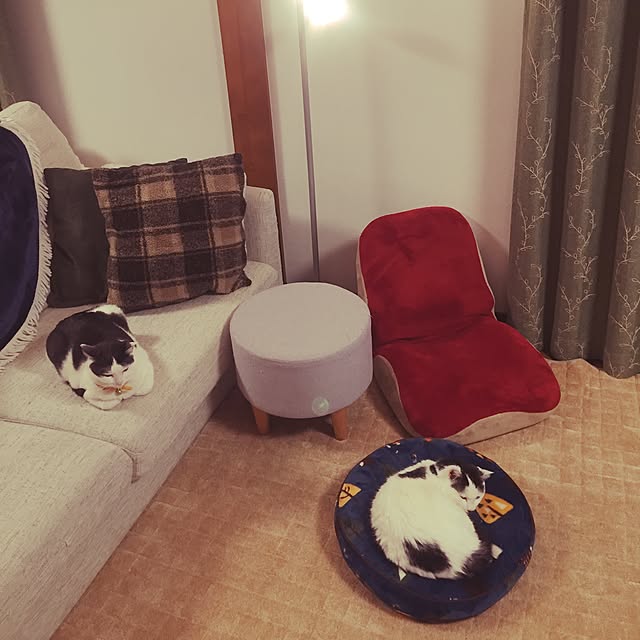 miiko3さんの実例写真