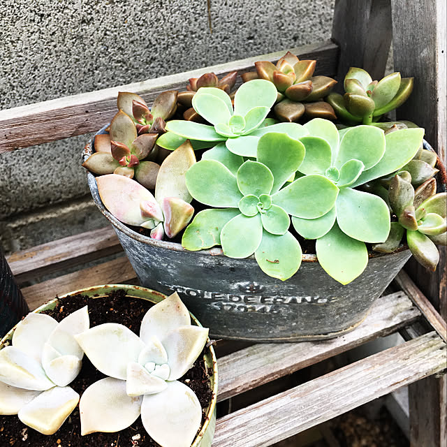 k.noriさんの実例写真