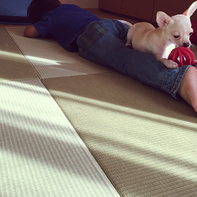 suzuさんの実例写真