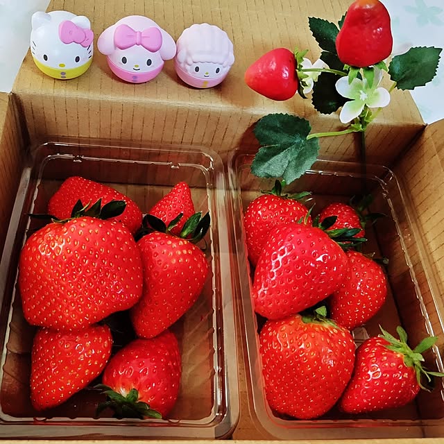katさんの実例写真