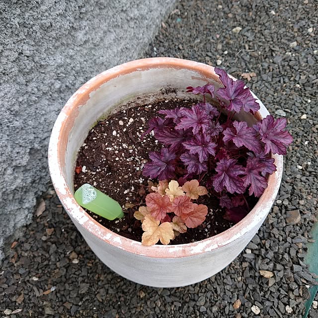 mamaさんの部屋