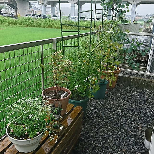 実例写真