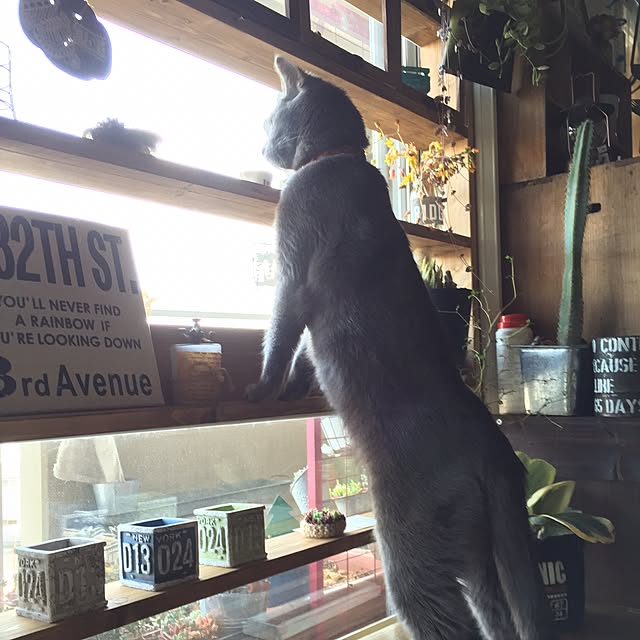 8717さんの実例写真
