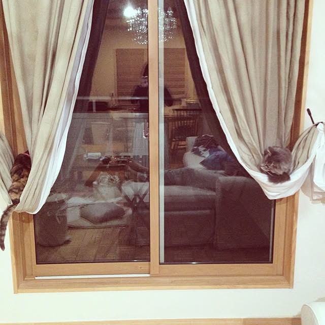 shonekoさんの実例写真