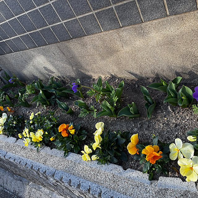 maruricoさんの部屋