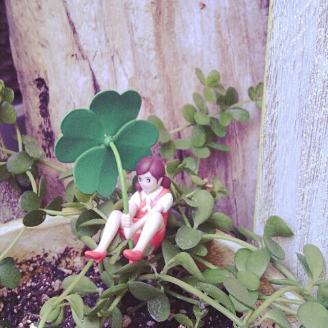 akr29さんの実例写真