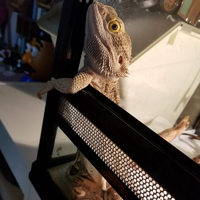 miwaさんの実例写真