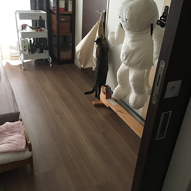 mikomaruさんの実例写真