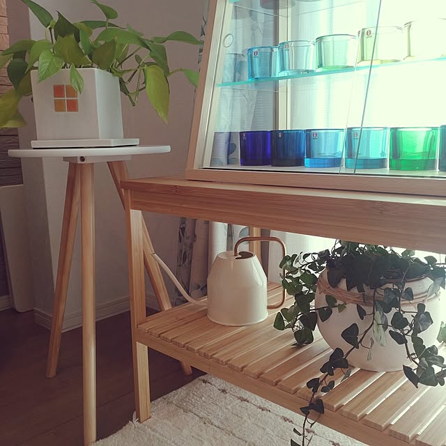 tan5さんの実例写真