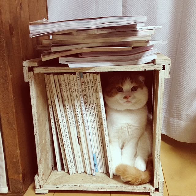 Rie-sさんの実例写真