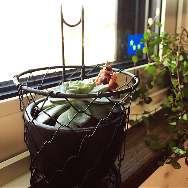 koroさんの実例写真