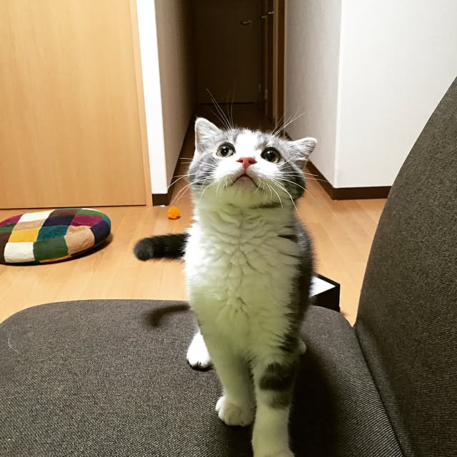 tansukeさんの実例写真