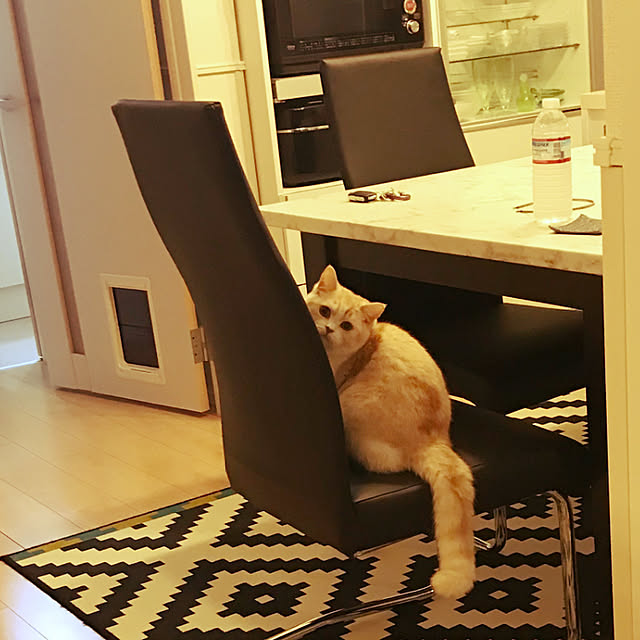 H.Tさんの実例写真