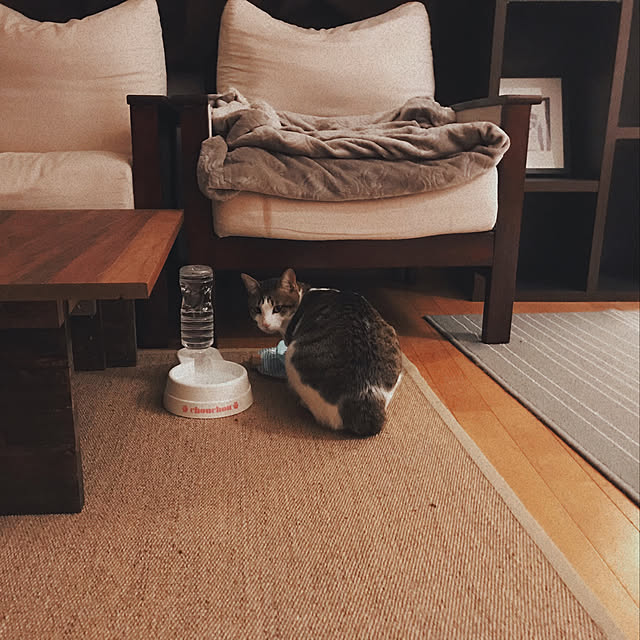 ttoさんの実例写真
