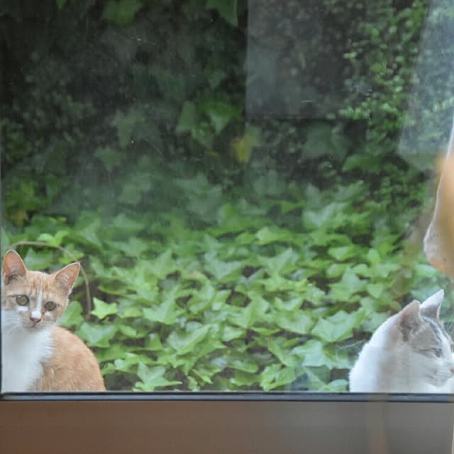 ruru357さんの実例写真