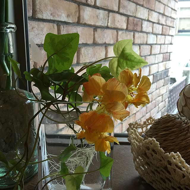 korokorohirokoさんの実例写真