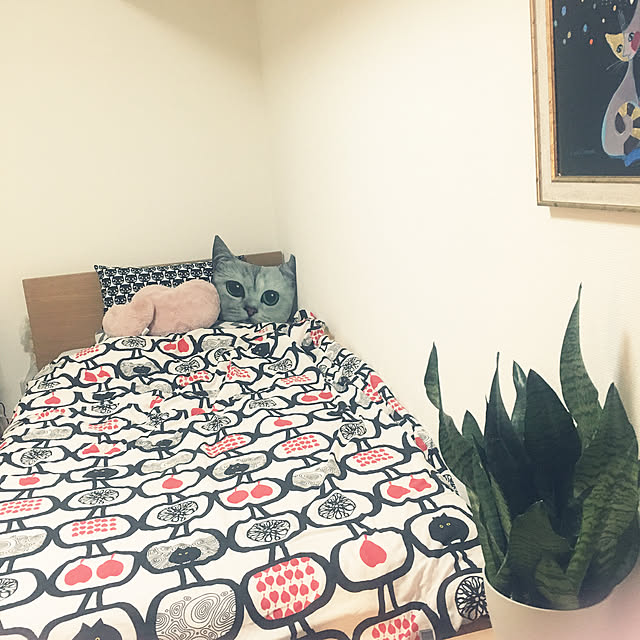 Fukafkaさんの実例写真