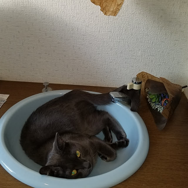 Kanonjujuさんの実例写真