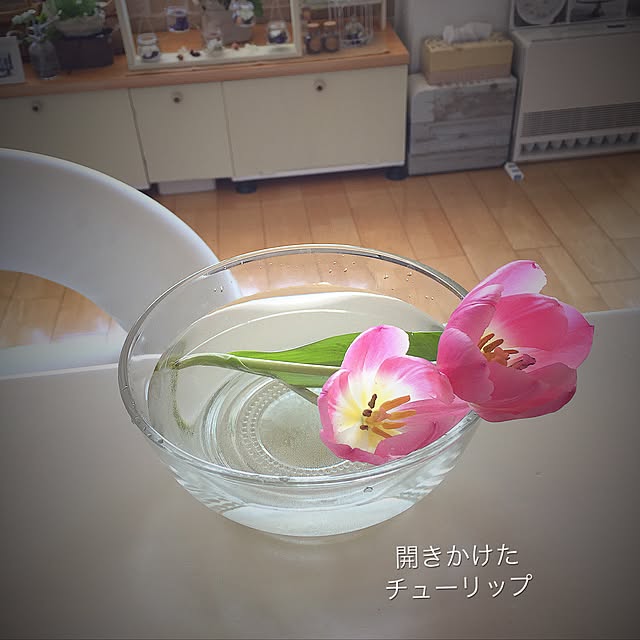 reeさんの実例写真
