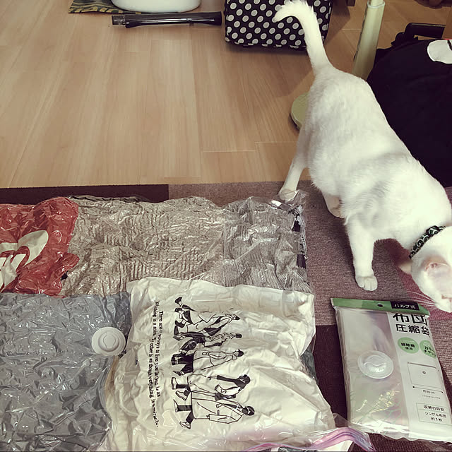 moyuhiさんの実例写真