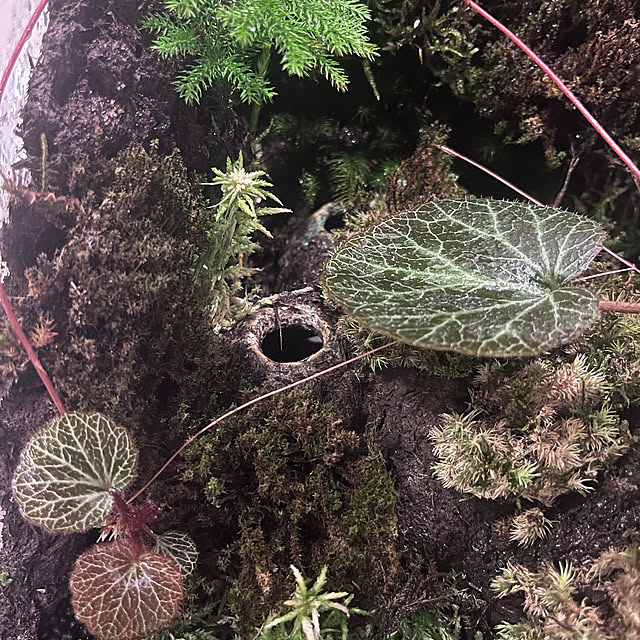 riakanaさんの部屋