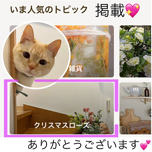 milkさんの実例写真