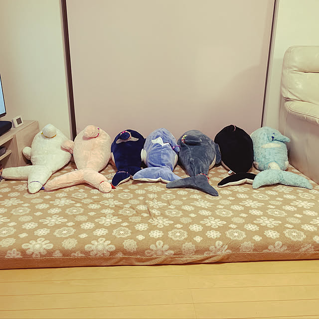 sucoriさんの実例写真