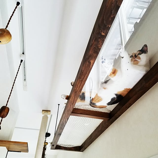 nekogurumaさんの実例写真