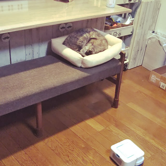 mihomihoさんの実例写真